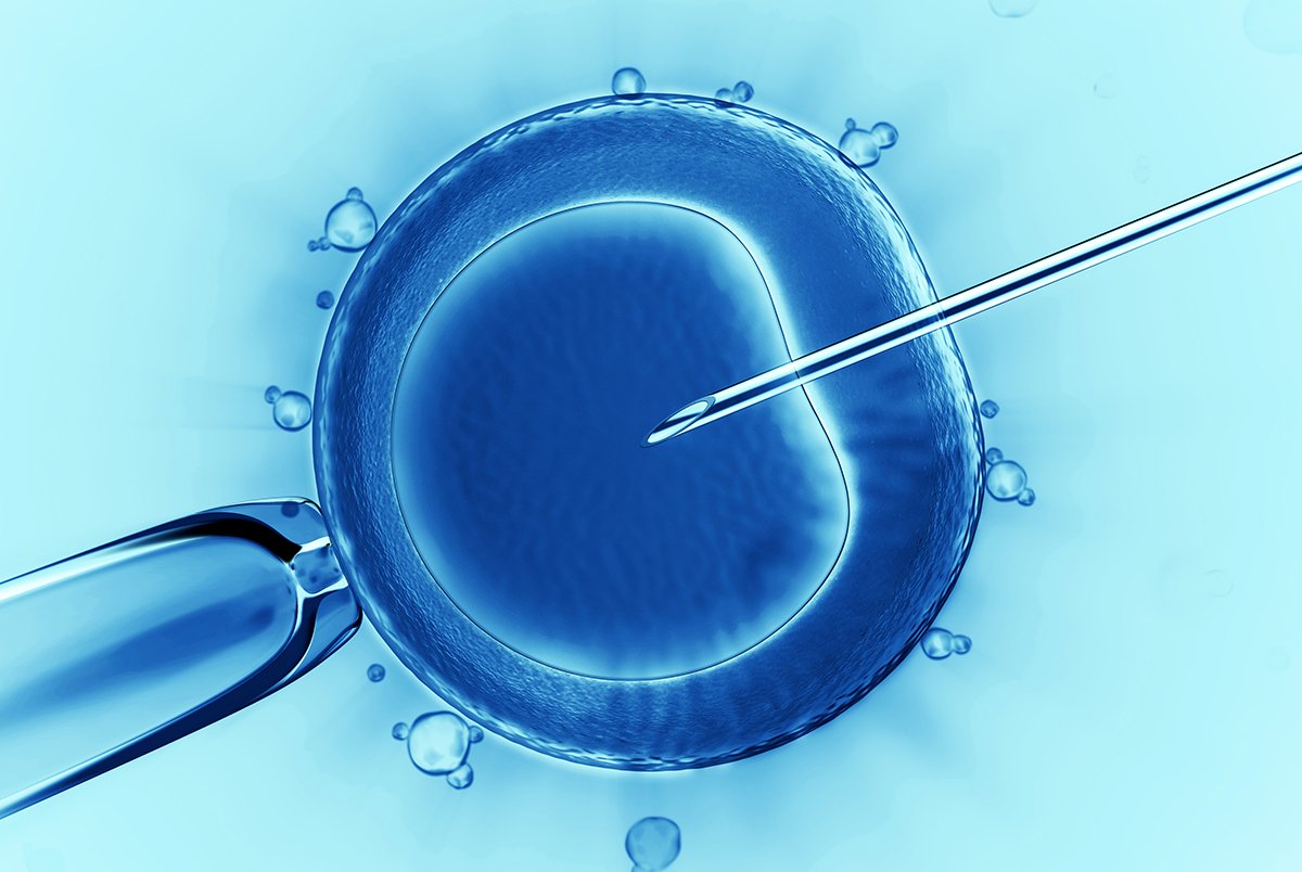 FIV Natural Sem Hormônios